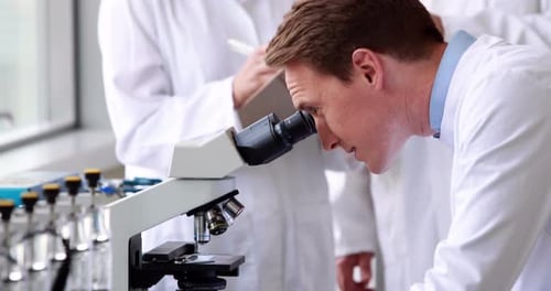 Chemist Looking At a microscope with colleagues behind him