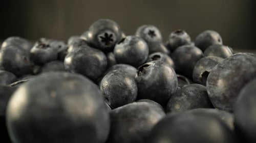 Blueberries 09