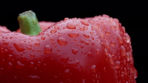 Fresh Red Bell Pepper with Water Droplets