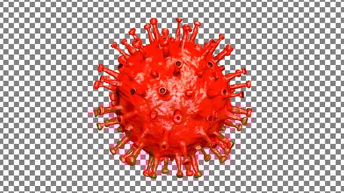 Rotating Red Virus Cell Model Animation
