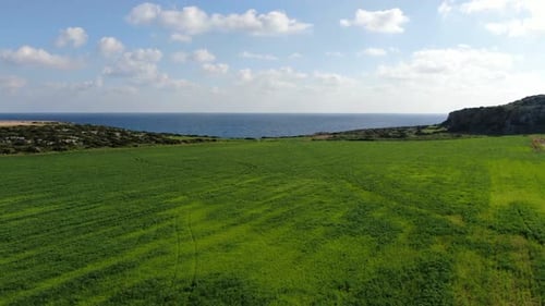 Kamera bewegt sich vorwärts entlang Green Meadow zum wunderschönen blauen Mittelmeer unter sonnigem Himmel