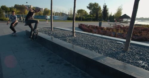 Young Adults Skateboarding in Urban Park on Sunny Day