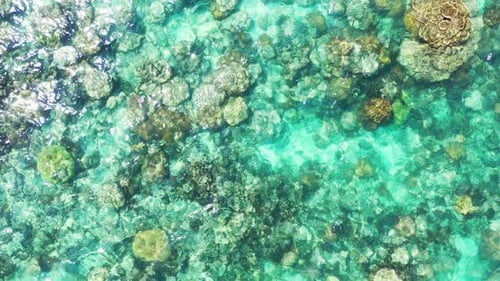 Wide flying tourism shot of a white sandy paradise beach and aqua blue water background in vibrant 4