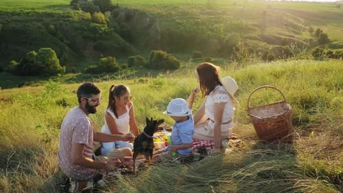 Family Picnic with Dog in Grassy Field