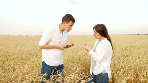 Woman and Man with Tablet Talking in Ripe Wheat Field