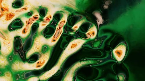 Fluid Organic Green Abstract Background Animation