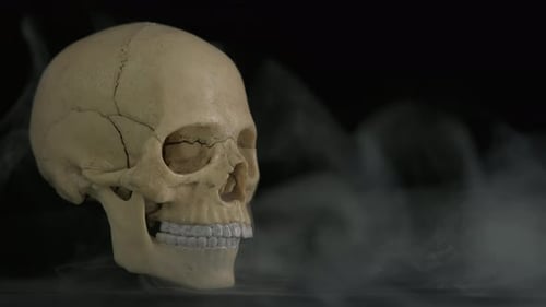 Skull in a Smoke