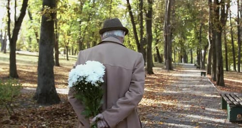 Back View of Elderly Man Walks in Park with a Bouquet of Flowers Behind His Back