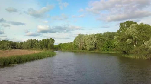 Flight Over River and Forest in Spring