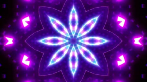 Neon Light Purple Wallpaper Loop 01