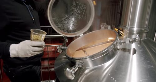 Produção de cerveja derramando grãos de malte no grande tanque de moagem na cervejaria