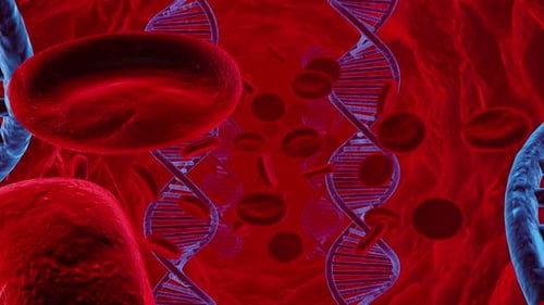 Dna And Blood Cell 03 4k