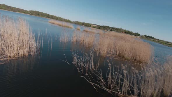 Fast and Agile Flight Over the Lake with Reeds, Nature Stock Footage ft ...