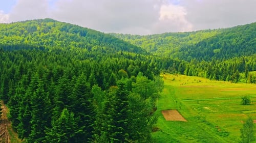 Aerial View on Pinewood