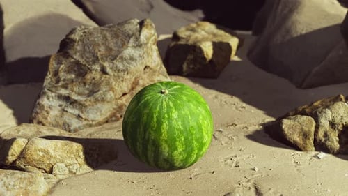 Fresh Watermelon on a Beautiful Sand Beach