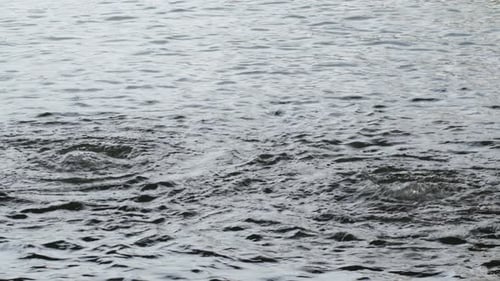 Rippling Water Surface with Gentle Waves