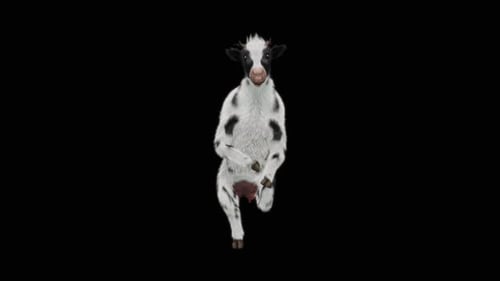 Animated Black and White Dancing Cow