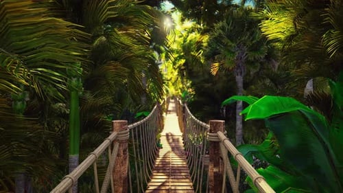 Wooden Bridge in The Jungle