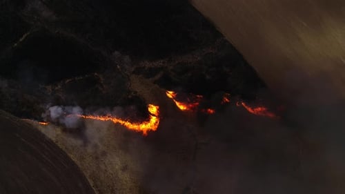 Dry Lanes and Grass on Swamp in Fire, Ecology Disaster
