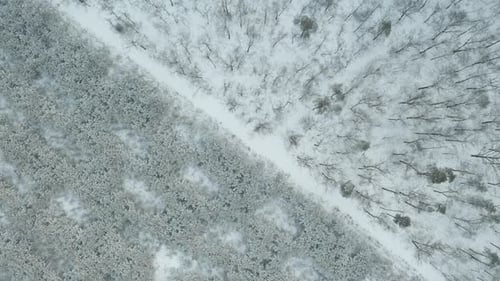 Vue aérienne de la forêt par Drone pendant l'hiver.