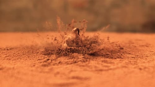 Super Slow Motion One Truffle Falls Into the Cocoa Powder