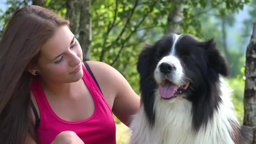 Eine junge schöne Frau sitzt mit einem Border Collie auf Gras auf einer Wiese, streichelt und umarmt es mit einem Lächeln