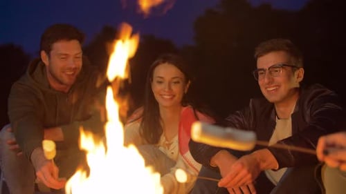 Friends Roasting Marshmallow on Camp Fire at Night