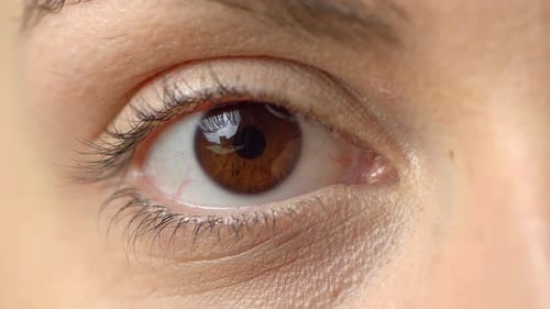 Close Up Beautiful Brown Eye Opening Human Iris Macro Natural Beauty, Woman, Macro
