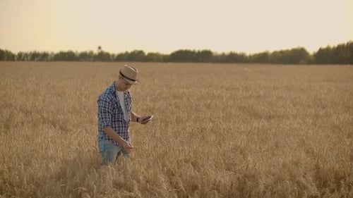 Farmer Using Tablet in Wheat Field