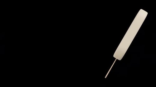 Vanilla Ice Cream Stick Bar Turnaround Transition