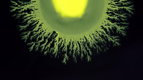 Crystal Germination