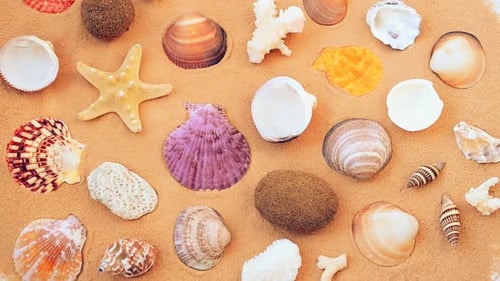 Beach 15
