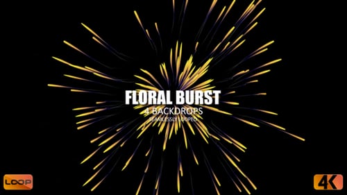 Colorful Seamlessly Looped Floral Burst Abstract Lines Animation