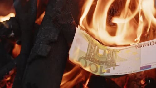 Burning Euro Bill in Fire