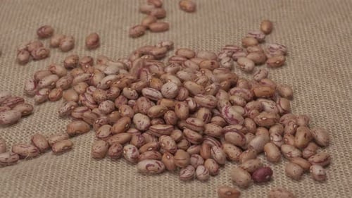 Heap of Pinto Beans on a Burlap Surface