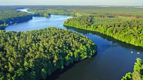 Blue river and green forests in Poland