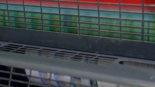 Print Plant Factory, Magazine Transports on Conveyor Belt Line After Printing Units and Folder