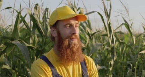 A Farmer in a Corn Field