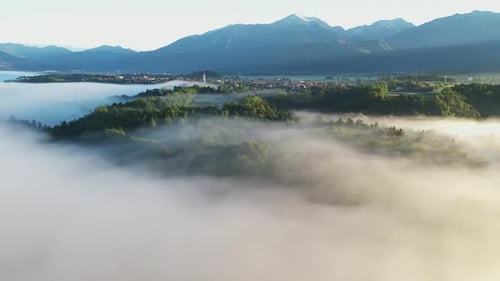 Foggy morning in the forest and landscape