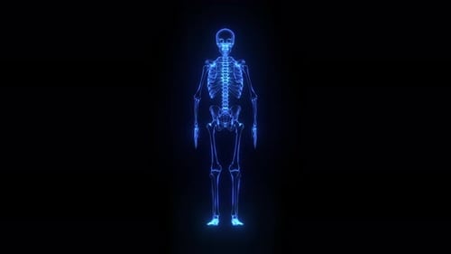 Glowing Blue Human Skeleton Rotating Hologram Display