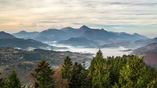 Sonnenaufgang über dem Wald im Herbst