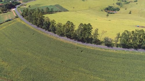 Luftaufnahme der ländlichen Landschaft. Natur & Landschaft