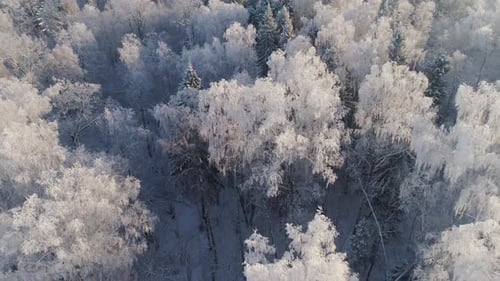 Winter Landscape in Countryside