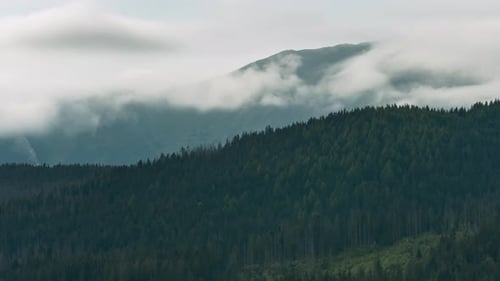 Timelapse: colinas verdes, pinos, bosques y cordilleras montañosas cubiertos de nubes ondulantes y lluviosas