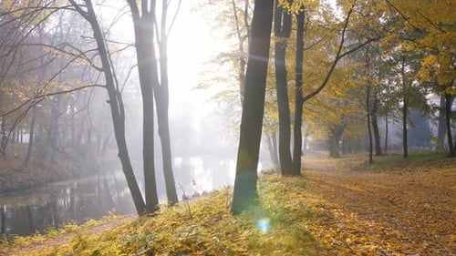 Autumn