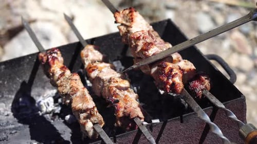 Meat Skewers Barbecuing on Grill Close Up
