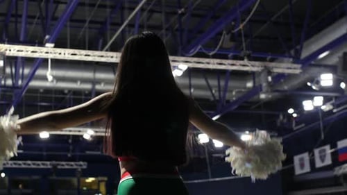 Lady Cheerleader Shakes Pompoms to Support Hockey Players