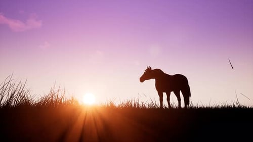 Animated Silhouette of Horse in Grassy Field at Sunset