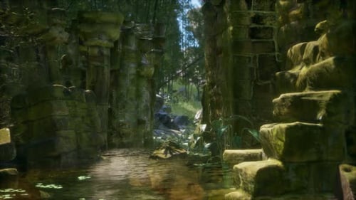 Ancienne maison en pierre en ruine envahie de plantes et de fougères dans une forêt verdoyante