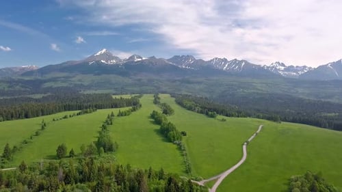 Vista aérea da natureza verde fresca nas montanhas dos Alpes na paisagem ensolarada da primavera